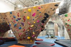 Woman Climbing in San Fernando Valley Gym