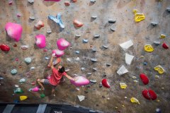 Man Climbing in San Fernando Valley Gym