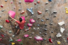 Man Climbing in San Fernando Valley Gym
