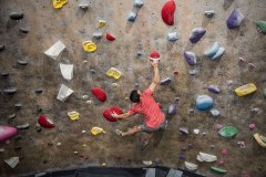 Man Climbing in San Fernando Valley Gym