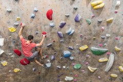 Man Climbing in San Fernando Valley Gym